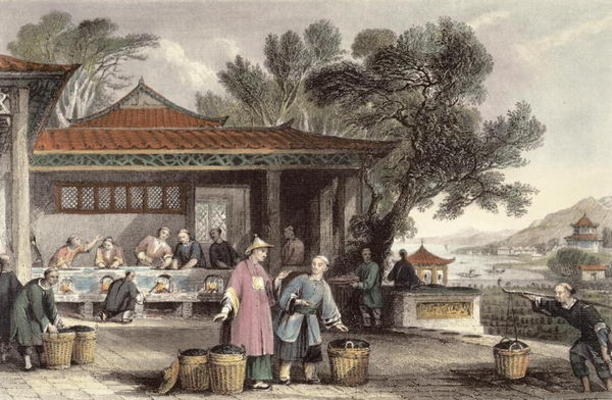The Culture and Preparation of Tea, from 'China in a Series of Views' by George Newenham Wright (c.1 van Thomas Allom