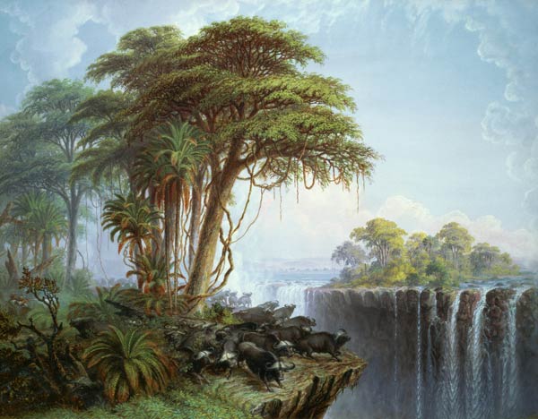 Buffalos Driven to the Edge of the Chasm opposite Garden Island, Victoria Falls van Thomas Baines