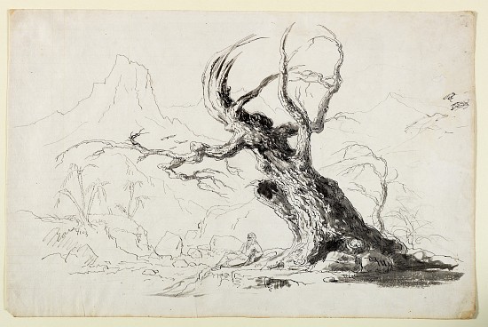 Large Gnarled Tree with Bearded Man Seated Below van Thomas Cole
