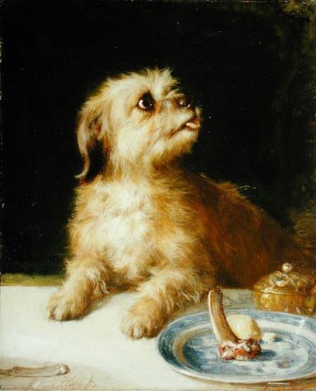 Norfolk Terrier van Thomas Earl
