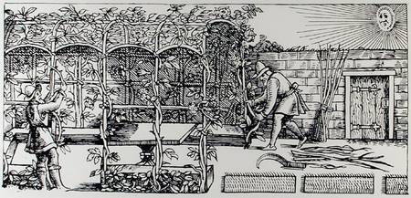 Arbour being built as a shade against the sun, from 'The Gardener's Labyrinth' van Thomas Hill