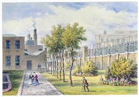 Garden of St. Thomas''s Hospital, Southwark, London