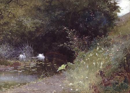 Swans on a Lake van Thomas Mackay