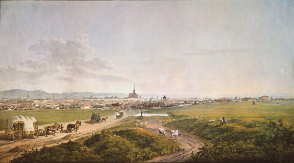 View of Vienna van Thomas Shotter Boys