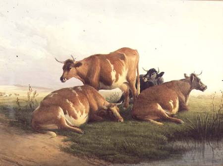 Cattle in a Landscape van Thomas Sidney Cooper