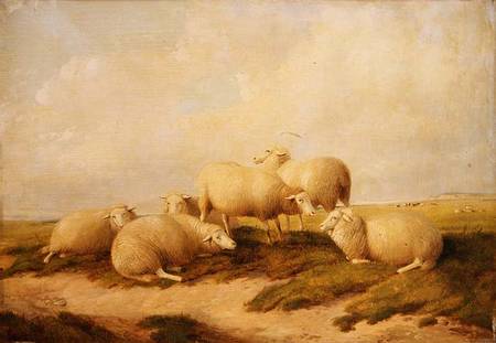 Sheep van Thomas Sidney Cooper