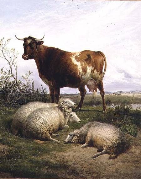 Sheep and a Cow Grazing van Thomas Sidney Cooper