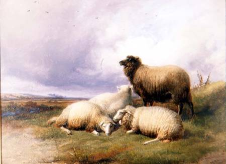 Sheep in a Landscape van Thomas Sidney Cooper
