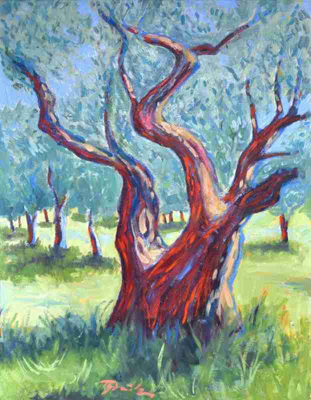 Olivenbäume bei St Rémy van Thomas Steinmetz