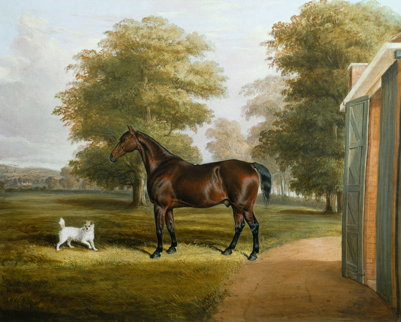 A Bay Horse with a Terrier van Thomas W. Bretland