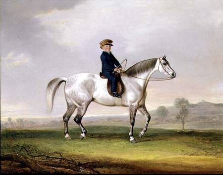 Master Edward Humphries on his Grey Pony van Thomas Weaver