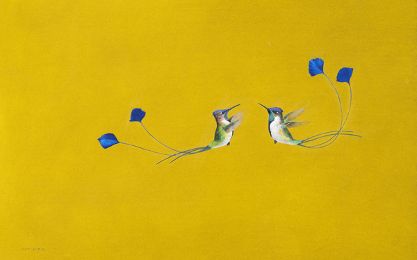 Hummingbirds van Tim Hayward