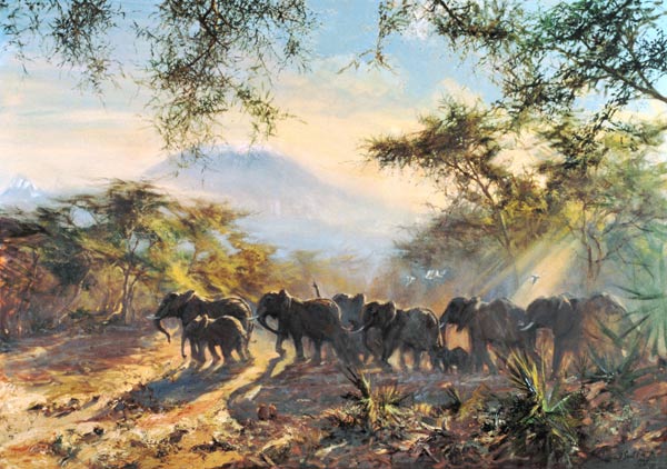 Elephant, Kilimanjaro, 1995 (oil on canvas)  van Tim  Scott Bolton