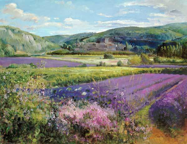 Lavender Fields in Old Provence (oil on canvas)  van Timothy  Easton