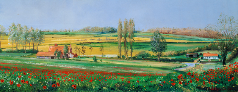 Poppy Field and Poplars  van Timothy  Easton