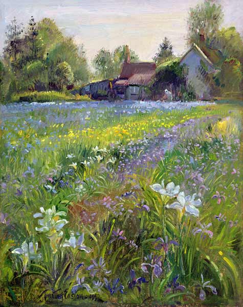 Dwarf Irises and Cottage, 1993  van Timothy  Easton
