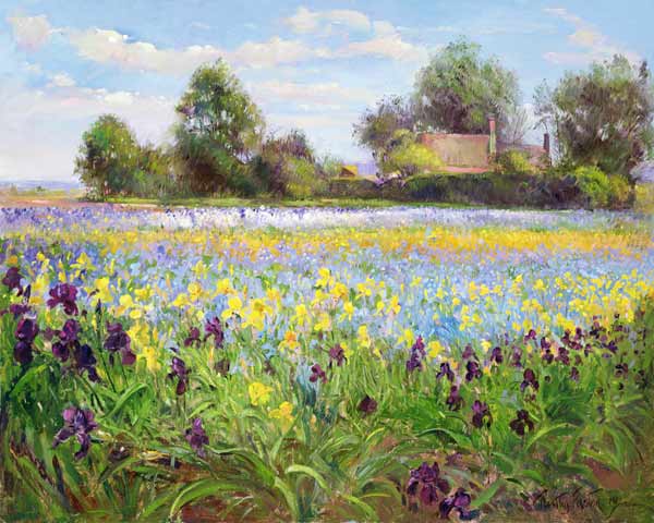 Farmstead and Iris Field, 1992  van Timothy  Easton