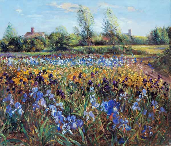 Irises and Burgate Green (oil on canvas)  van Timothy  Easton