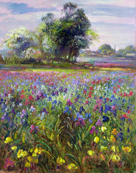 Irises and Distant May Tree, 1993  van Timothy  Easton