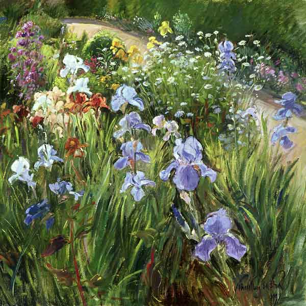 Irises and Oxeye Daisies, 1997 (oil on canvas)  van Timothy  Easton