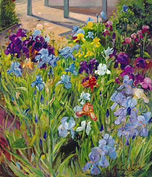 Irises and Summer House Shadows, 1996 (oil on canvas)  van Timothy  Easton