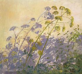 Lovage, Clematis and Shadows, 1999 (oil on canvas) 