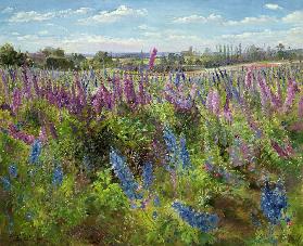 Delphiniums and Poppies, 1991 