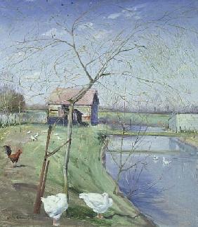 Geese and Young Willow, 1989 