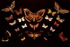 Die Schmetterlinge van Tivadar Csontváry-Kosztka