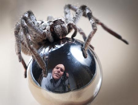 Self-Portrait with Spider