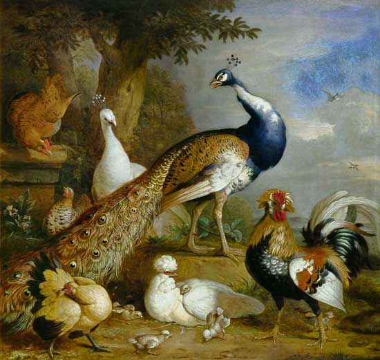 Peacock, Peahen and Poultry in a Landscape van Tobias Stranover