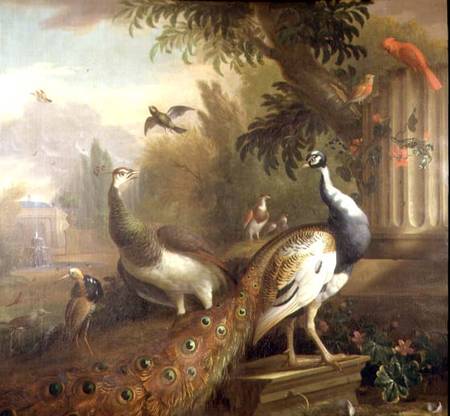 Peacock and Peahen with a Red Cardinal in a Classical Landscape van Tobias Stranover