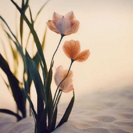 Dune Flowers No 1