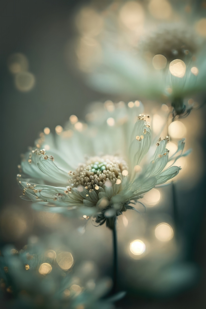 Mint Flower van Treechild