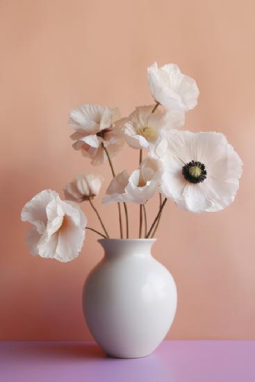 White Poppy In White Vase
