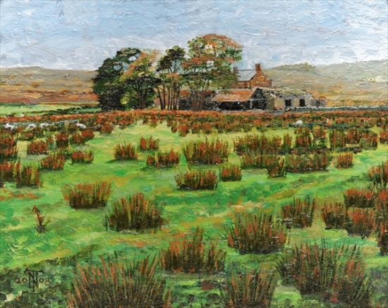 Farm Cumbria van Trevor  Neal