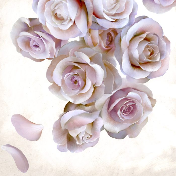 Roses of light van Udo Linke