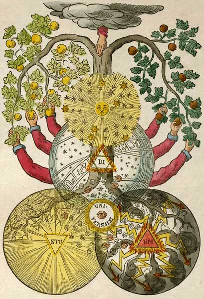 Secret Symbols of the Rosicrucians from the 16th and 17th Centuries van Unbekannter Künstler