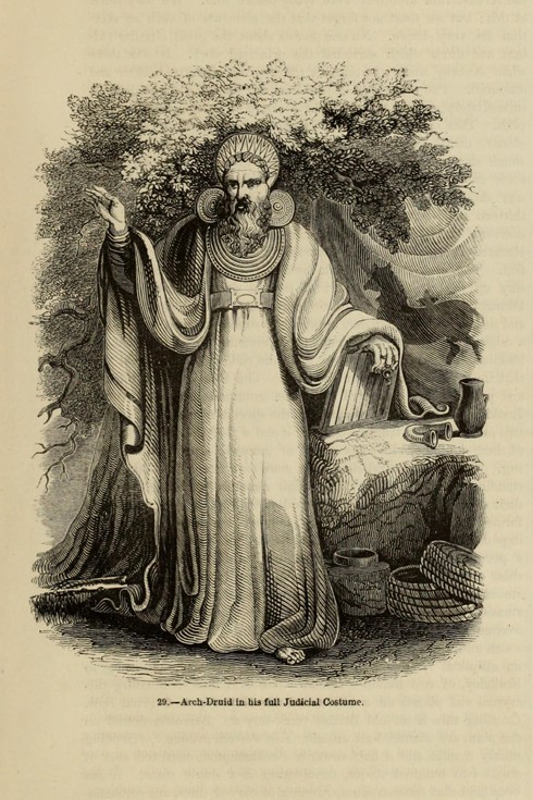 Arch-Druid in his full Judicial Costume (From the book "Old England: A Pictorial Museum") van Unbekannter Künstler