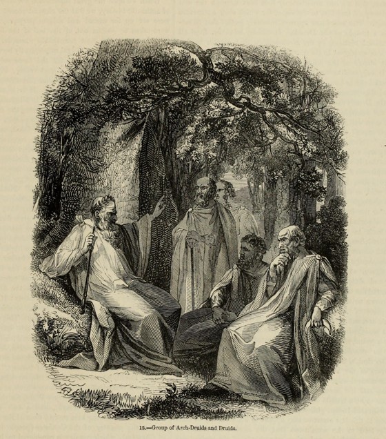 Group of Archdruids and Druids (From the book "Old England: A Pictorial Museum") van Unbekannter Künstler