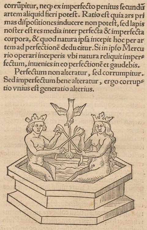 Illustration for The Rosary of the Philosophers (Rosarium philosophorum sive pretiosissimum donum De van Unbekannter Künstler