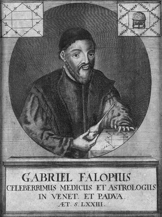 Portrait of Gabriele Falloppio (1523-1562) van Unbekannter Künstler