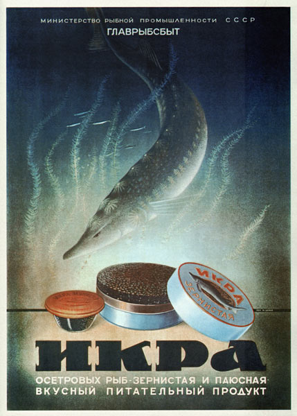 Advertising Poster for the Sturgeon caviar van Unbekannter Künstler