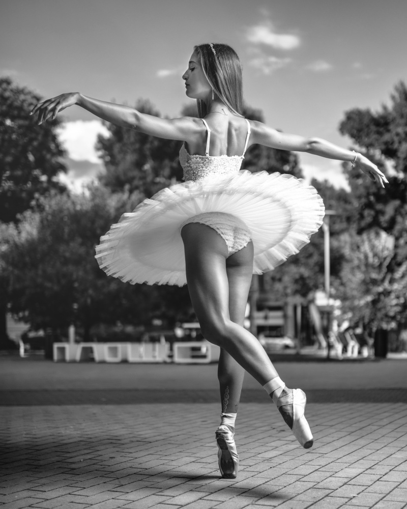 Ballerina Performance V van Vasil Nanev