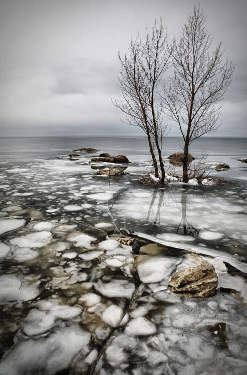 frozen lake van Vedran Vidak