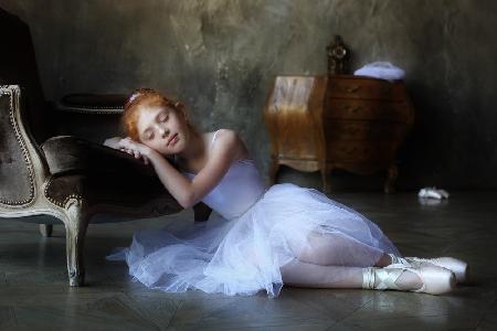 Dreams of the white swan