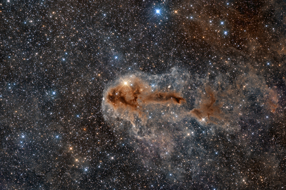 Rotten Fish Nebula van Vikas Chander