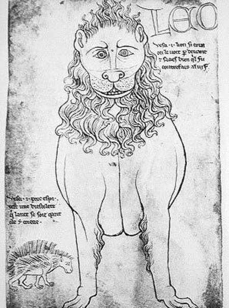 Ms Fr 19093 fol.24v Lion and Porcupine (pen & ink on paper) (facsimile) van Villard  de Honnecourt