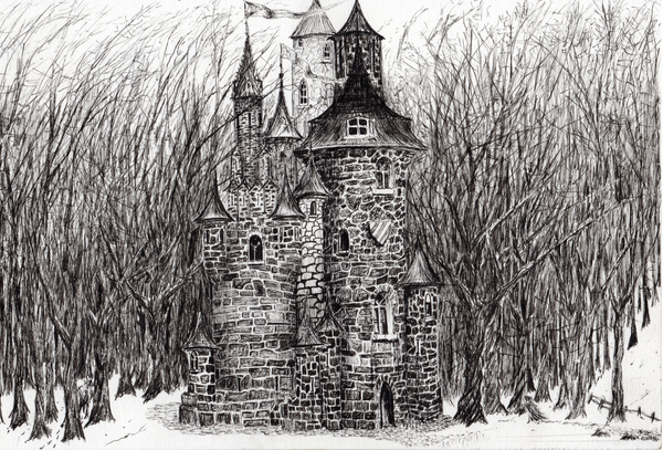 The Castle in the forest of Findhorn van Vincent Alexander Booth