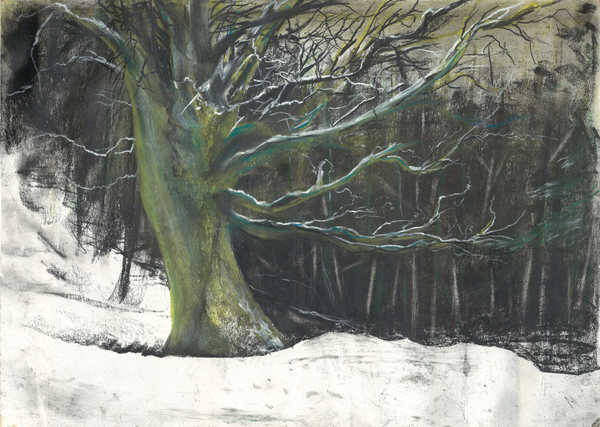 Tree in winter snow at Osmotherley woods van Vincent Alexander Booth